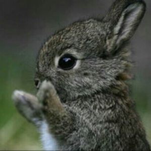 Meet your Posher, Chloe